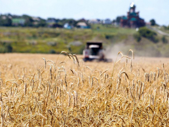 Власти Зауралья планируют снизить тарифы  на перевозку зерна и отсрочить платежи по кредитам