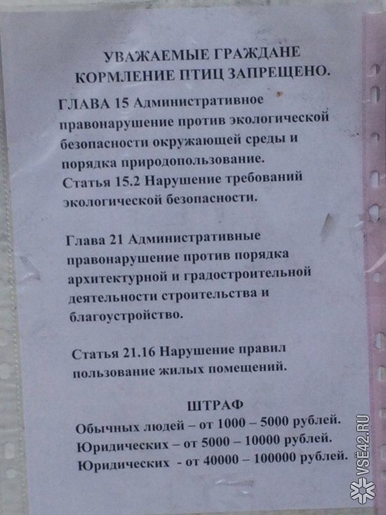 Кемеровский автовокзал запретил горожанам кормить голубей по белорусскому кодексу 