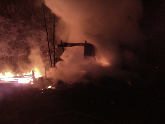 Двое мужчин погибли на пожаре в Нижегородской области