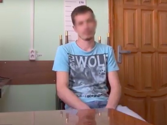 Задержан возможный организатор группы смерти, склонявший к суициду 14-летнюю тулячку 