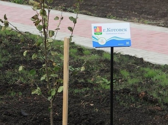 Яблоня с названием города Котовска растет в парке Республики Башкортостан 