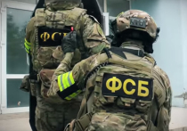 ФСБ возбудила дело о государственной измене в отношении российского военнослужащего и его сообщницы, задержанных в Симферополе
