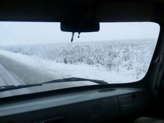 Юг Алтайского края укрыло снежным покровом: фото из соцсетей