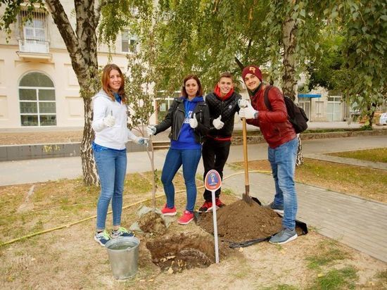 Волонтеры ЧМ-2018 высадили в Волгограде кленовую аллею