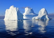 В интернете были опубликованы первые детальные снимки возникшего в июле этого года гигантского айсберга