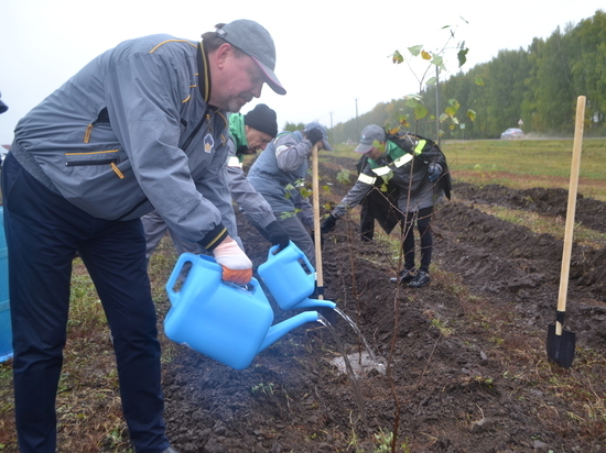 Озеленение территории производственной деятельности компании – важное направление работы нефтяников