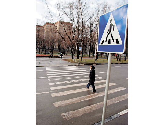 В России хотят внедрить систему безопасности «Народный контроль» 