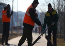 На днях стало известно, что МУП УЖКХ в Протвино с 1 ноября переводит уборщиков и дворников на 6-дневную рабочую неделю