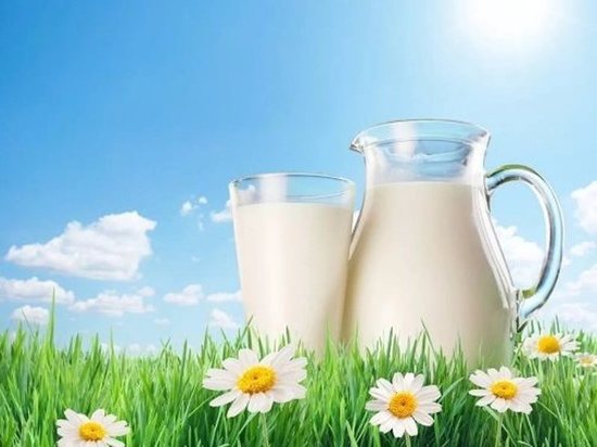 Фестиваль молока впервые пройдет в Калуге