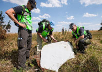 Прокуратура самопровозглашенной ДНР передала представителям Нидерландов останки тел и обломки самолета, недавно обнаруженные на месте крушения рейса MH17 Malaysia Airlines