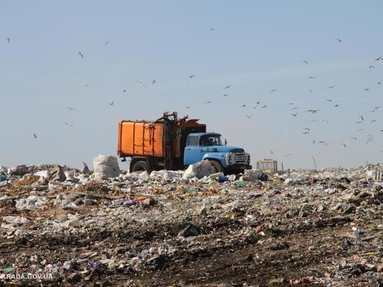 Два опасных полигона твердых бытовых отходов отмечены в Гае и Ясном

