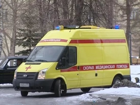«Они не кусаются»: в Копейске бойцовские собаки буквально порвали школьника «Они не кусаются»: в Копейске бойцовские собаки буквально порвали школьника