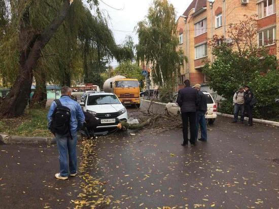 Упавшее на две машины дерево заблокировало улицу в Калуге 