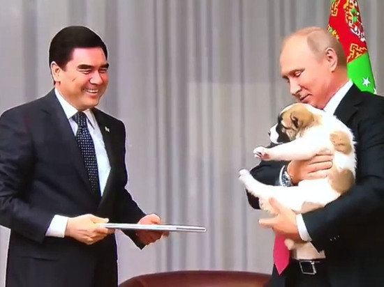 Президент России и его пушистый маленький друг с первых секунд поладили друг с другом