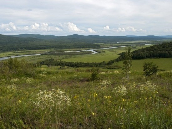 В Забайкальском крае создан региональный природный ландшафтный заказник «Среднеаргунский»