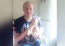 Уфимский живодер — так прозвали пользователи соцсетей уроженца Коми, который поместил своего кота в стиральную машину и постирал вместе с вещами