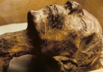 Ведущие историки и археологи Киргизии настаивают, чтобы недавно захороненную мумию из Государственного исторического музея эксгумировали в срочном порядке, ведь придание земле музейного экспоната противоречит всем канонам науки