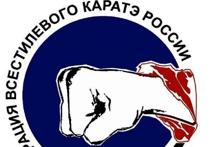 Всестилевое каратэ картинки