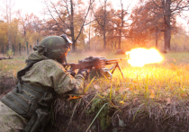 Во вторник, 24 октября, свой профессиональный праздник отмечают военнослужащие подразделений специального назначения Вооруженных сил России