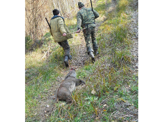 Корреспонденту «МК» рассказали об особенностях прифронтовой охоты