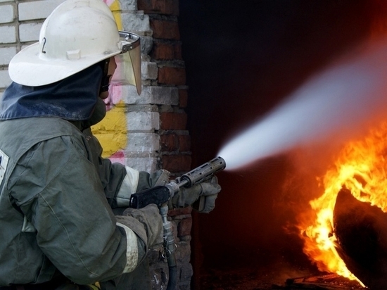 В Оренбургском районе неизвестные подожгли дачный дом 