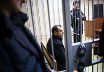 Борис Гриц, обвиняемый в покушении на ведущую радиостанции «Эхо Москвы» Татьяну Фельгенгауэр, признал свою вину частично