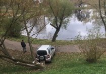 В Верхний Ясеневский пруд на улице Паустовского упала 25 октября иномарка, которой управляла 73-летняя пенсионерка — с ее слов, из-за отказа тормозов