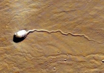 Изучая снимки поверхности Красной планеты при помощи сервиса Google Mars, учёные обратили внимание на необычный объект, с определенного расстояния более всего напоминающий сперматозоид