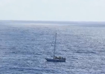 Американские спасатели спасли двух женщин и их собак, до этого на протяжении пяти месяцев дрейфовавших в Тихом океане на яхте со сломанным мотором
