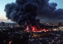 Пожар в подмосковном торговом центре «Синдика» начался с намеренного поджога