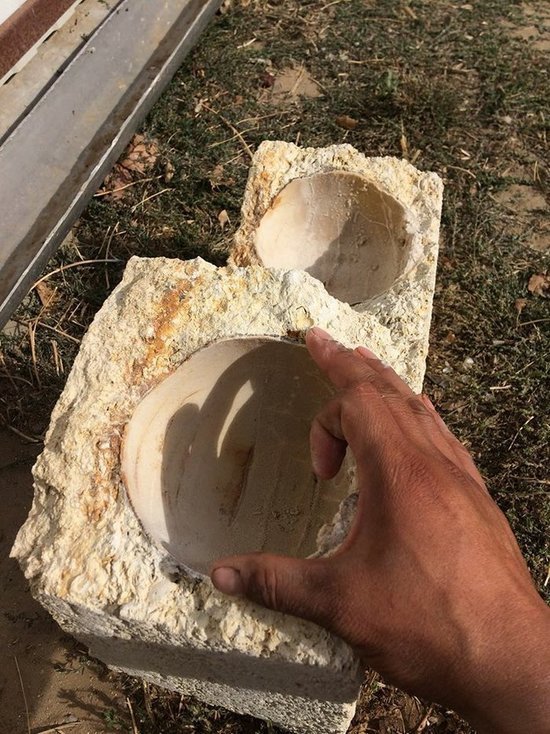 В Калмыкии в карьере Чолун-Хамур, возможно, нашли яйцо динозавра