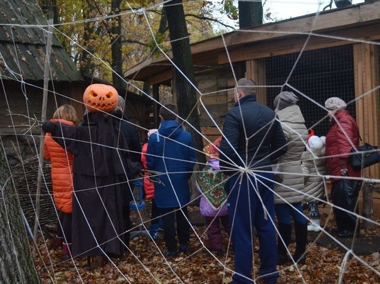 В Соколином дворе Мичуринска прошла экскурсия, посвящённая Хеллоуину 