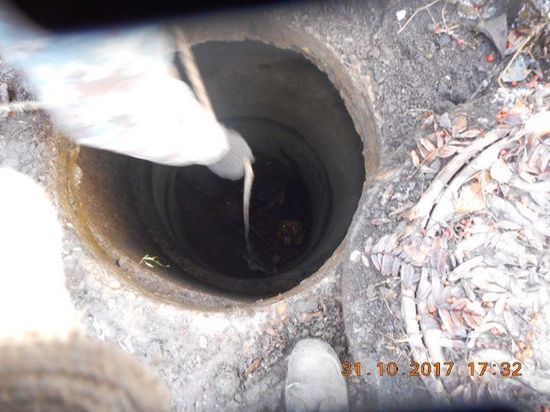 В Новокузнецке из канализационного колодца спасли собаку 