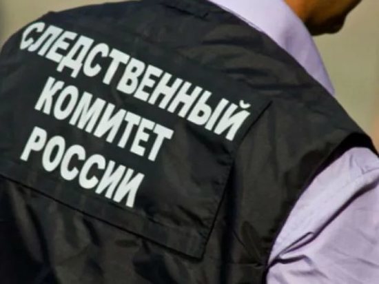 По факту гибели трёхлетнего мальчика в Петровском районе проводится доследственная проверка