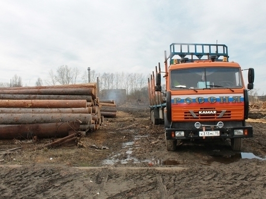 В Томском районе огромные объемы неучтенной древесины проходят через местные пилорамы 