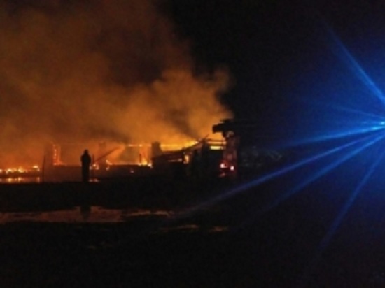 В Ярославской области крупный пожар уничтожил ферму вместе с коровами