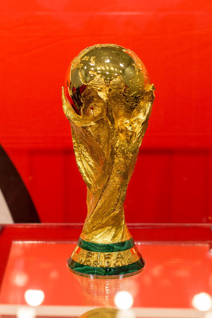 Кубок Чемпионата Мира Купить В Беларуси