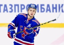 Бывший нападающий СКА и один из лучших хоккеистов последних лет Вадим Шипачев оскандалился за океаном