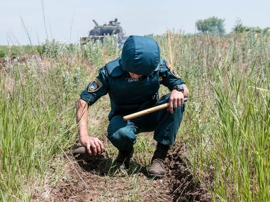 В Белгородской области обнаружили взрывоопасные боеприпасы 