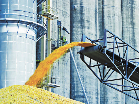 Цены на пшеницу в Штатах упали на четверть