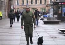 Петербургский метрополитен решил бороться с террористическими угрозами с помощью братьев наших меньших