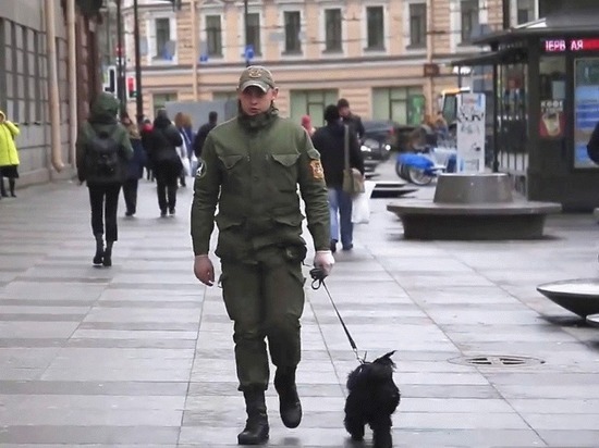 Петербургский метрополитен решил бороться с террористическими угрозами с помощью братьев наших меньших