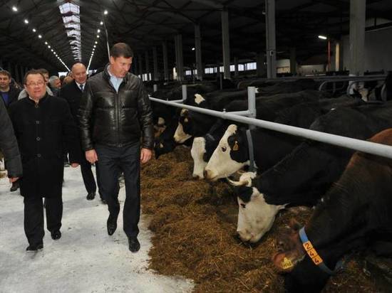 В Угличском районе открылась современная молочно-товарная ферма