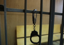 Московский областной суд в понедельник приговорил к пожизненному заключению Илью Асеева, расстрелявшему пятерых знакомых в Егорьевском районе Московской области в мае прошлого года