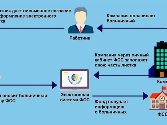 В Ярославской области начали выдавать электронные «больничные листы»