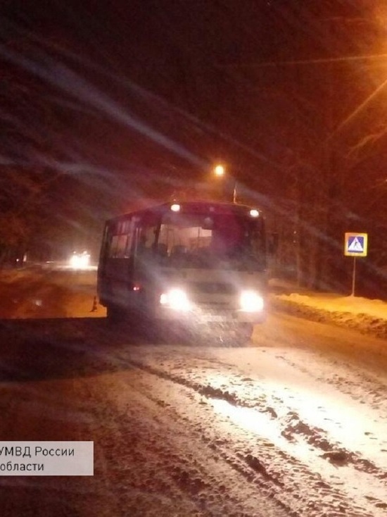 В Шуе автобус сбил мать с дочерью