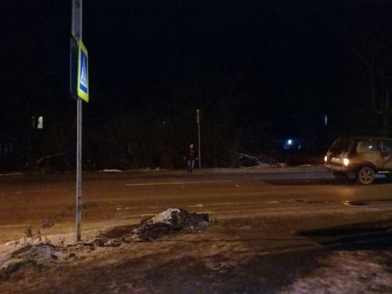 Автомобиль «Нива» травмировал 14-летнюю девочку в Екатеринбурге