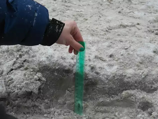 Уральские ученые рассказали об опасности отсутствия снега