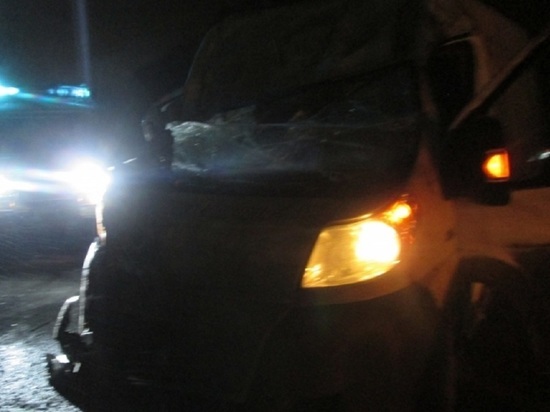В Ярославской области на трассе М-8 столкнулись микроавтобус и грузовик
