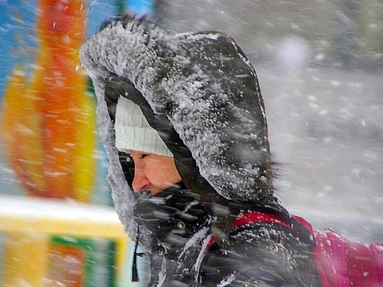Сильный ветер и снегопад ждут в Костромской области